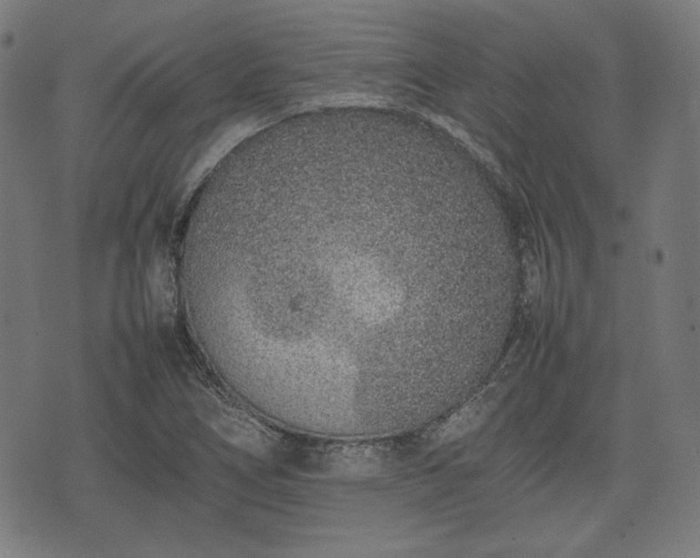 X0000074931266200609081317