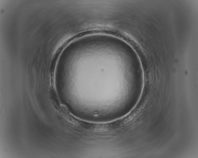 X0000074931267200609081317