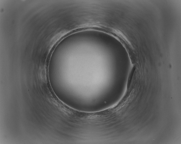 X0000074931268200609081317