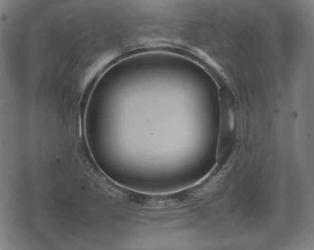 X0000074931269200609081317