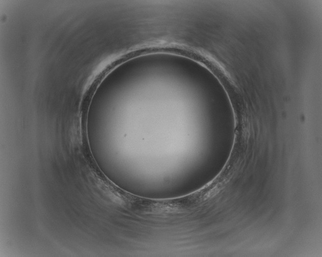 X0000074931270200609081317