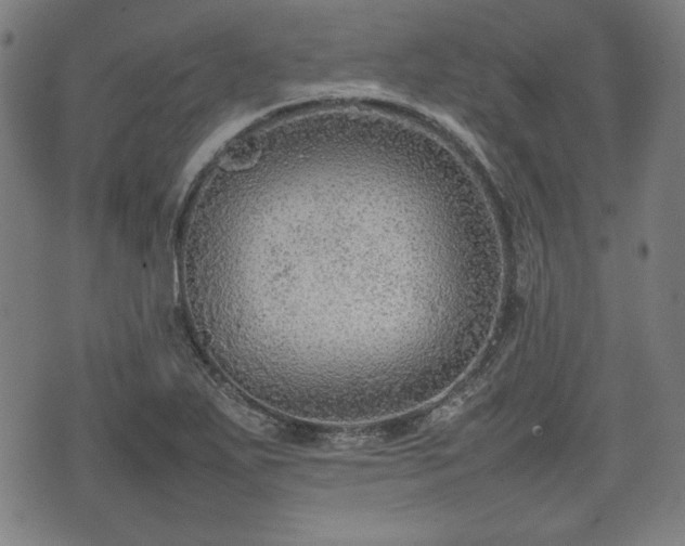 X0000074931271200609081317