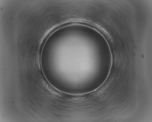 X0000074931272200609081317