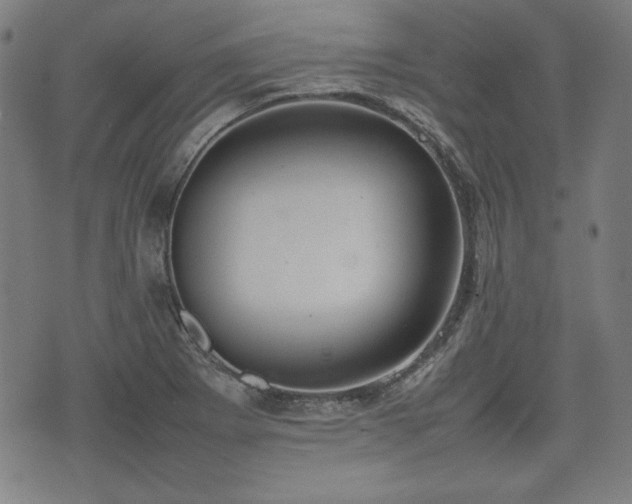 X0000074931273200609081317