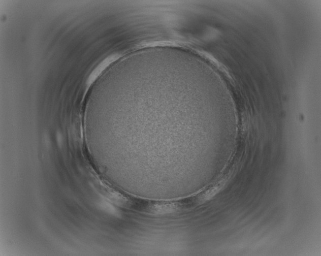 X0000074931274200609081317