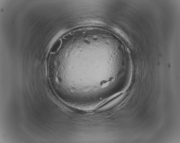 X0000074931275200609081316