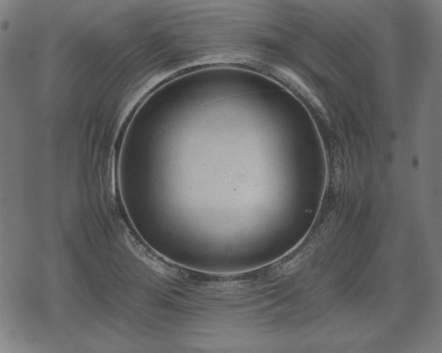 X0000074931276200609081316