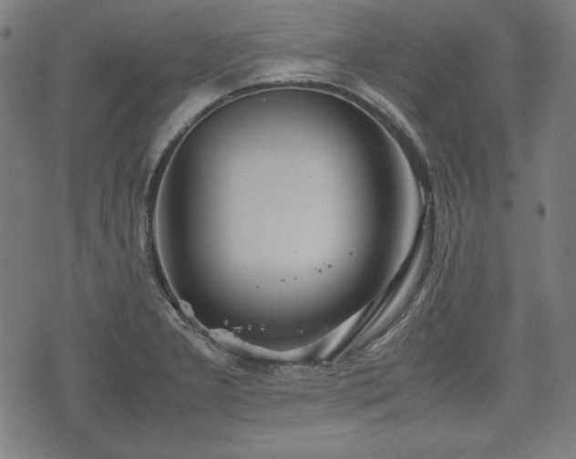 X0000074931277200609081316