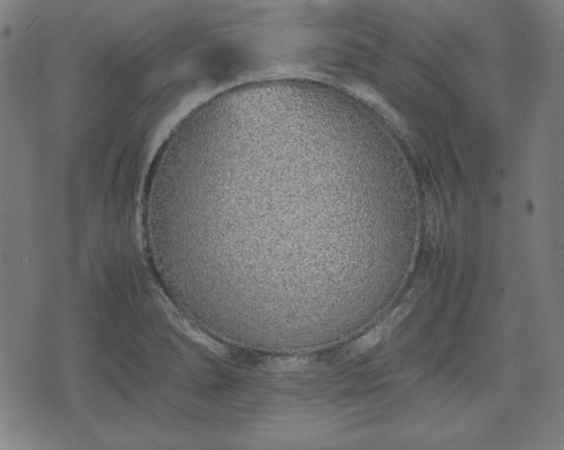 X0000074931278200609081316