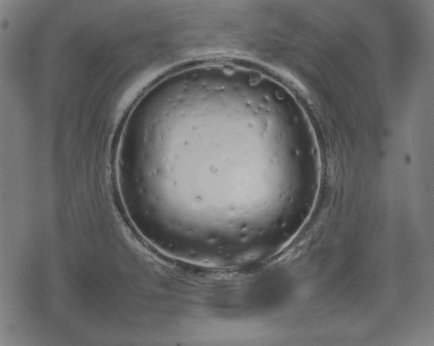 X0000074931279200609081316