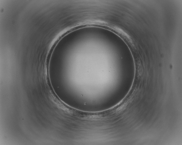 X0000074931280200609081316