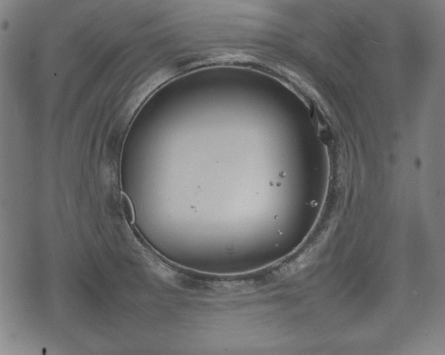 X0000074931281200609081316