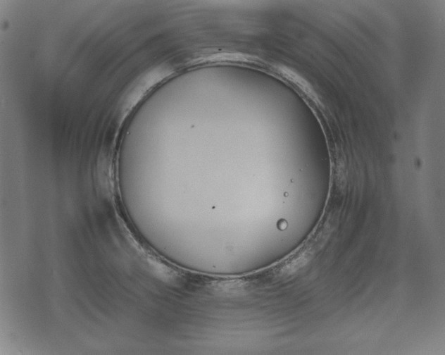 X0000074931282200609081316