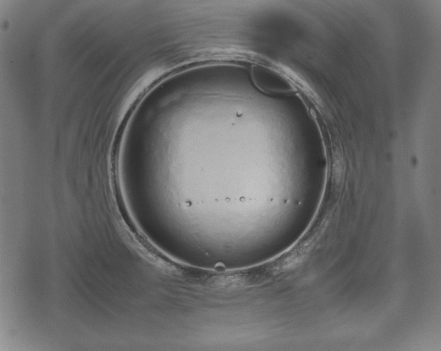 X0000074931283200609081316