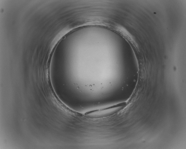 X0000074931284200609081316