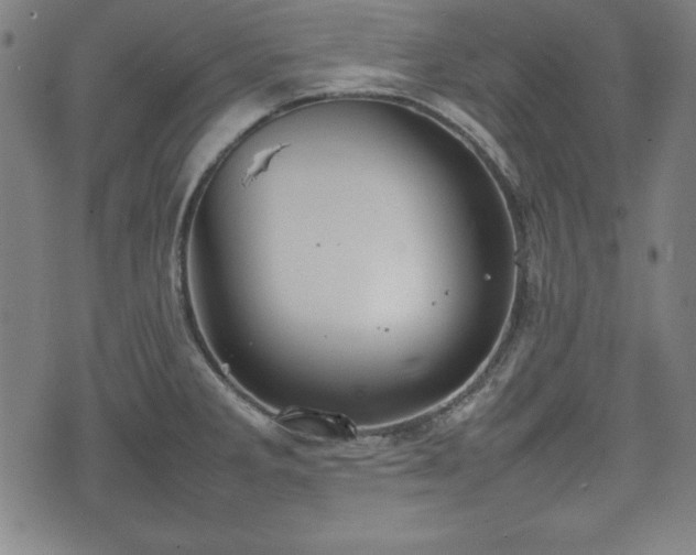 X0000074931285200609081316