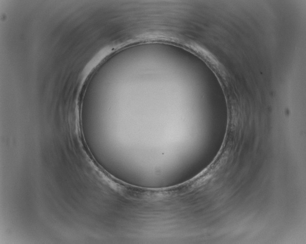 X0000074931286200609081316