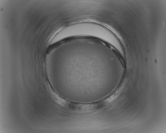 X0000074931289200609081316