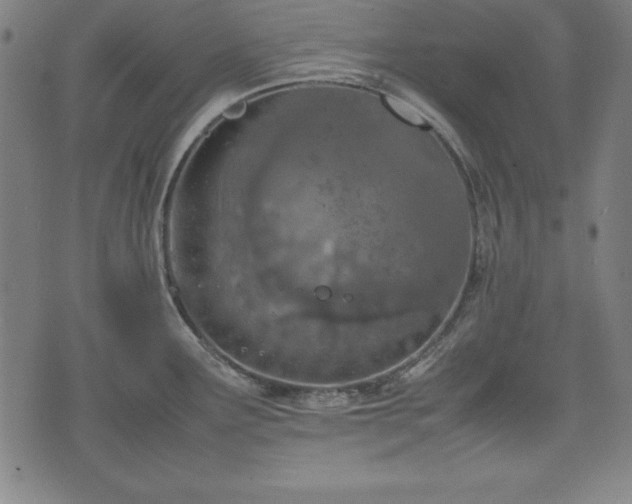 X0000074931291200609081316