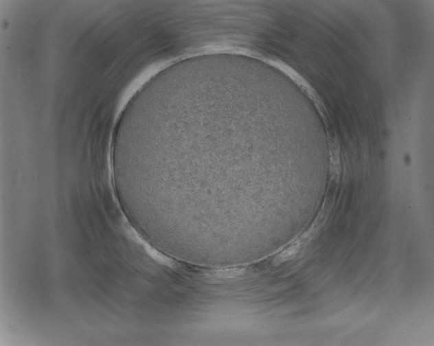 X0000074931294200609081316