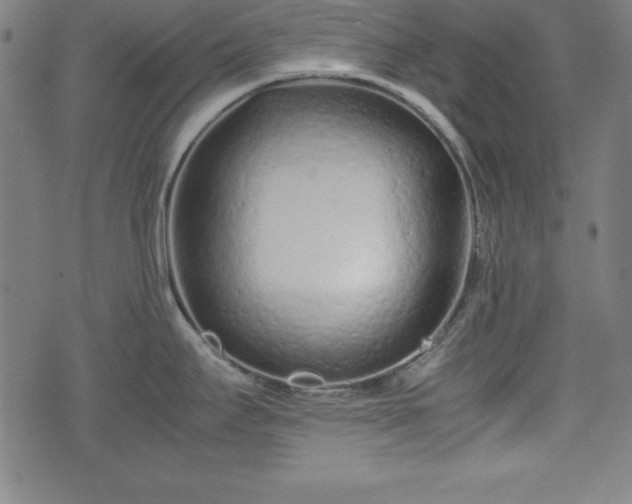 X0000074931295200609081316