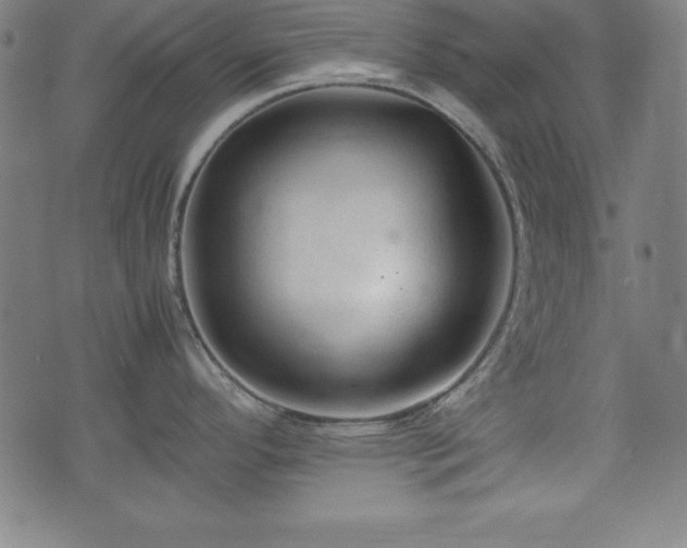 X0000074931296200609081316