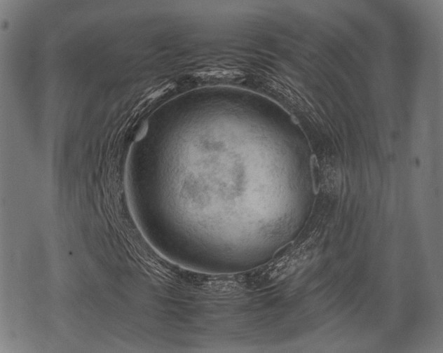 X0000074931297200609081315