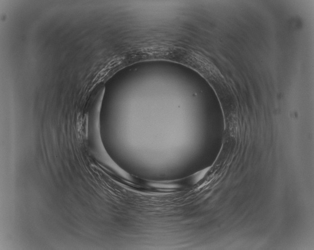 X0000074931298200609081315