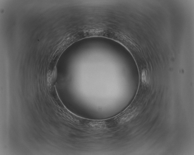 X0000074931299200609081315