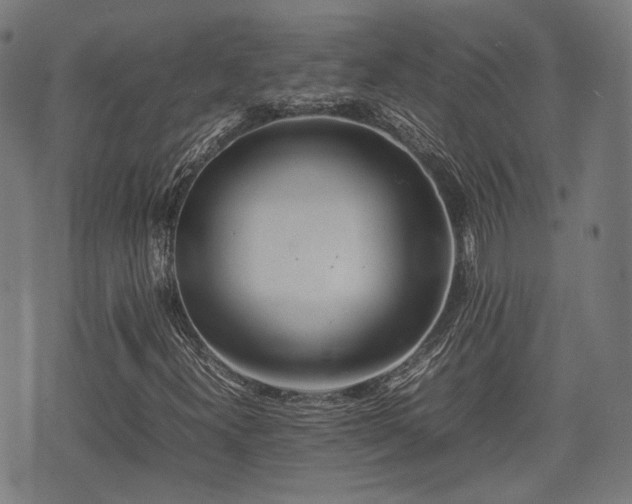 X0000074931300200609081315