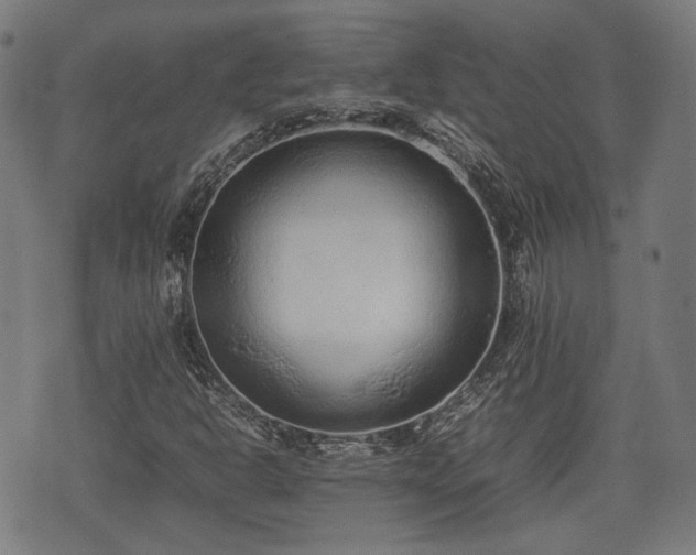 X0000074931302200609081315