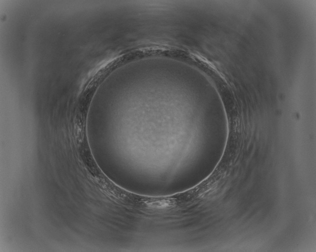 X0000074931303200609081315