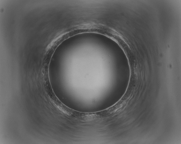 X0000074931304200609081315