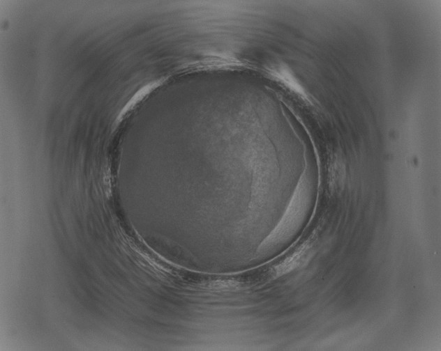 X0000074931306200609081316