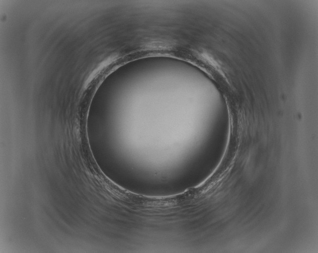 X0000074931307200609081316