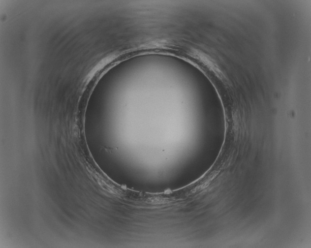 X0000074931308200609081316