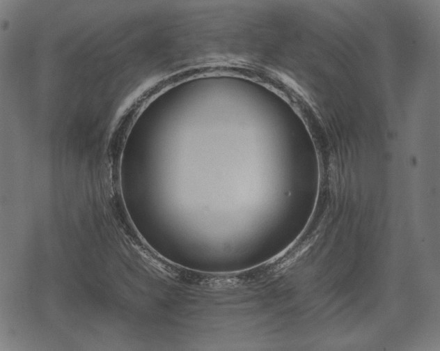 X0000074931310200609081316