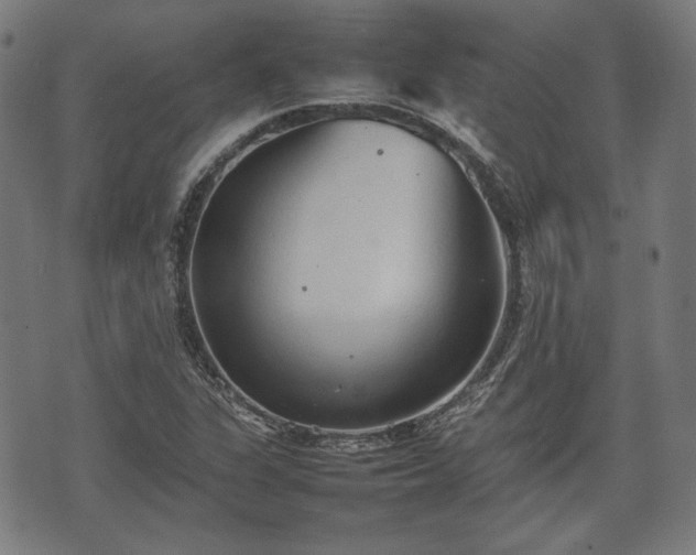 X0000074931311200609081316