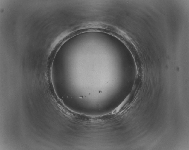 X0000074931312200609081316