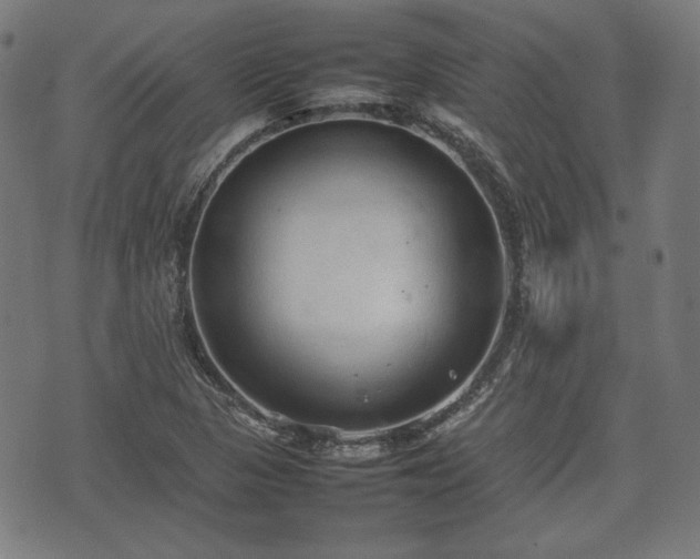 X0000074931313200609081316