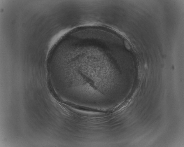 X0000074931319200609081316