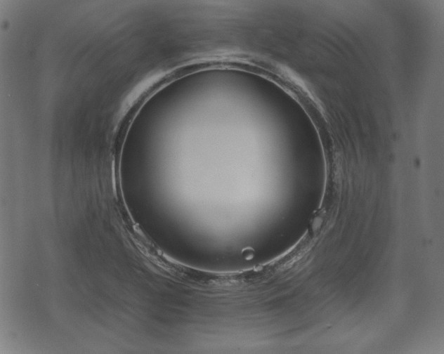 X0000074931320200609081316