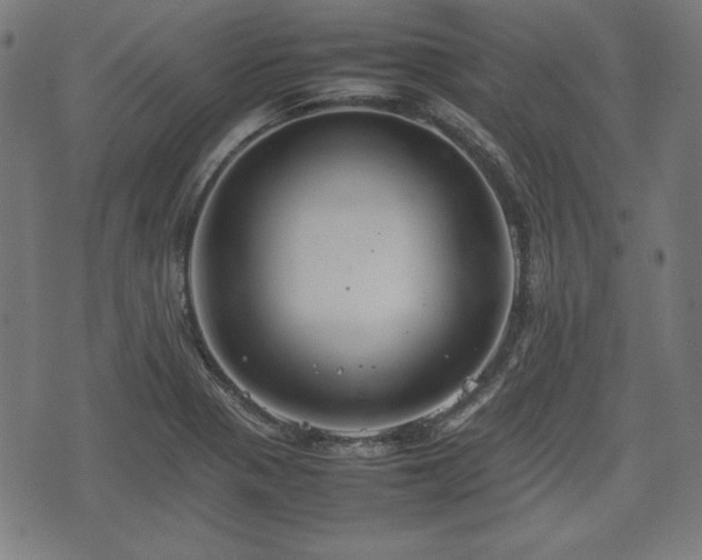 X0000074931321200609081316