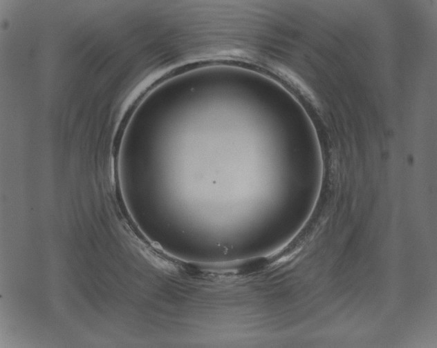 X0000074931324200609081316