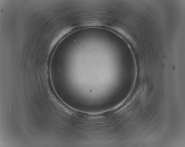 X0000074931325200609081316