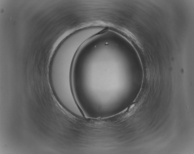 X0000074931326200609081316