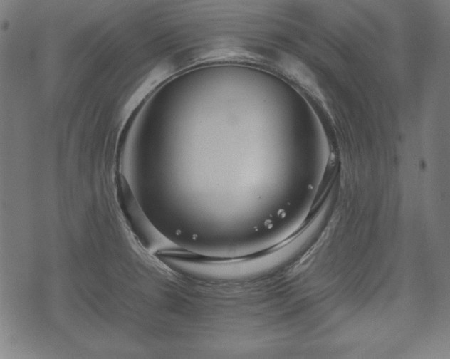 X0000074931330200609081316