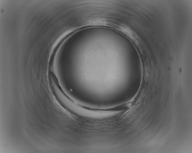 X0000074931331200609081316