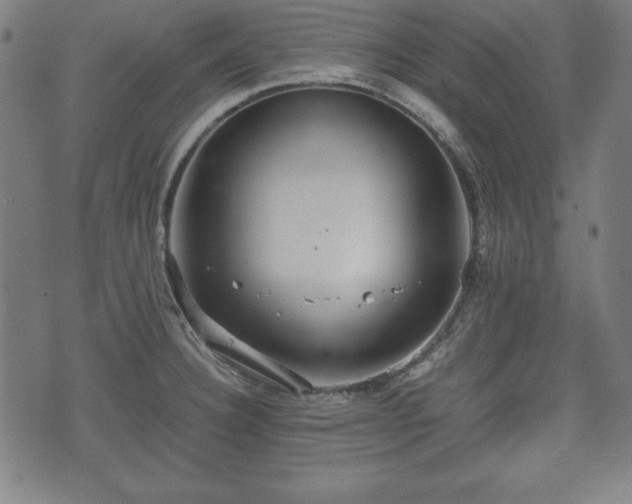 X0000074931332200609081316