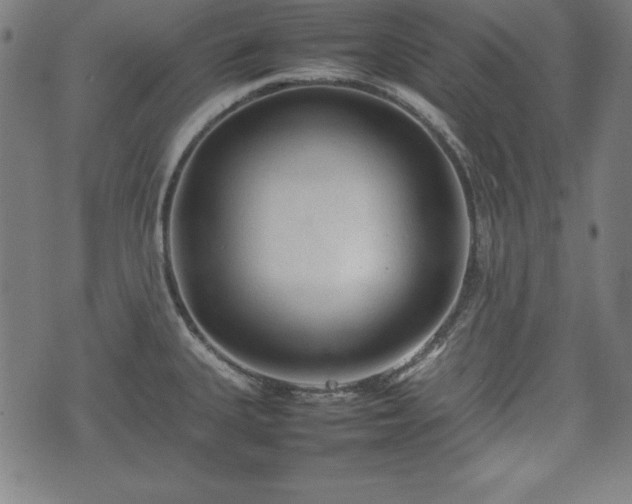 X0000074931335200609081316